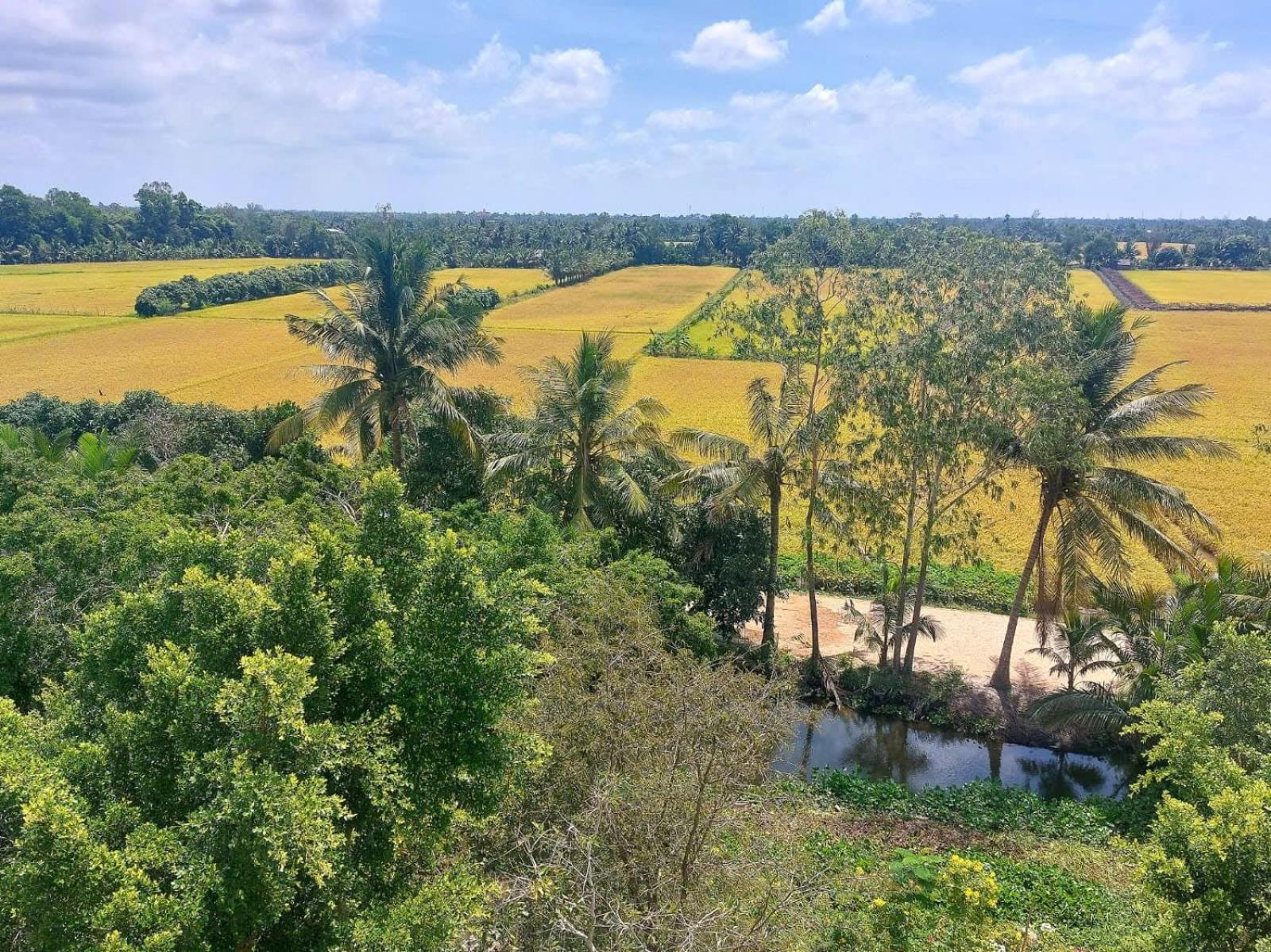 Tran Phu Riverside House Can Tho Esterno foto