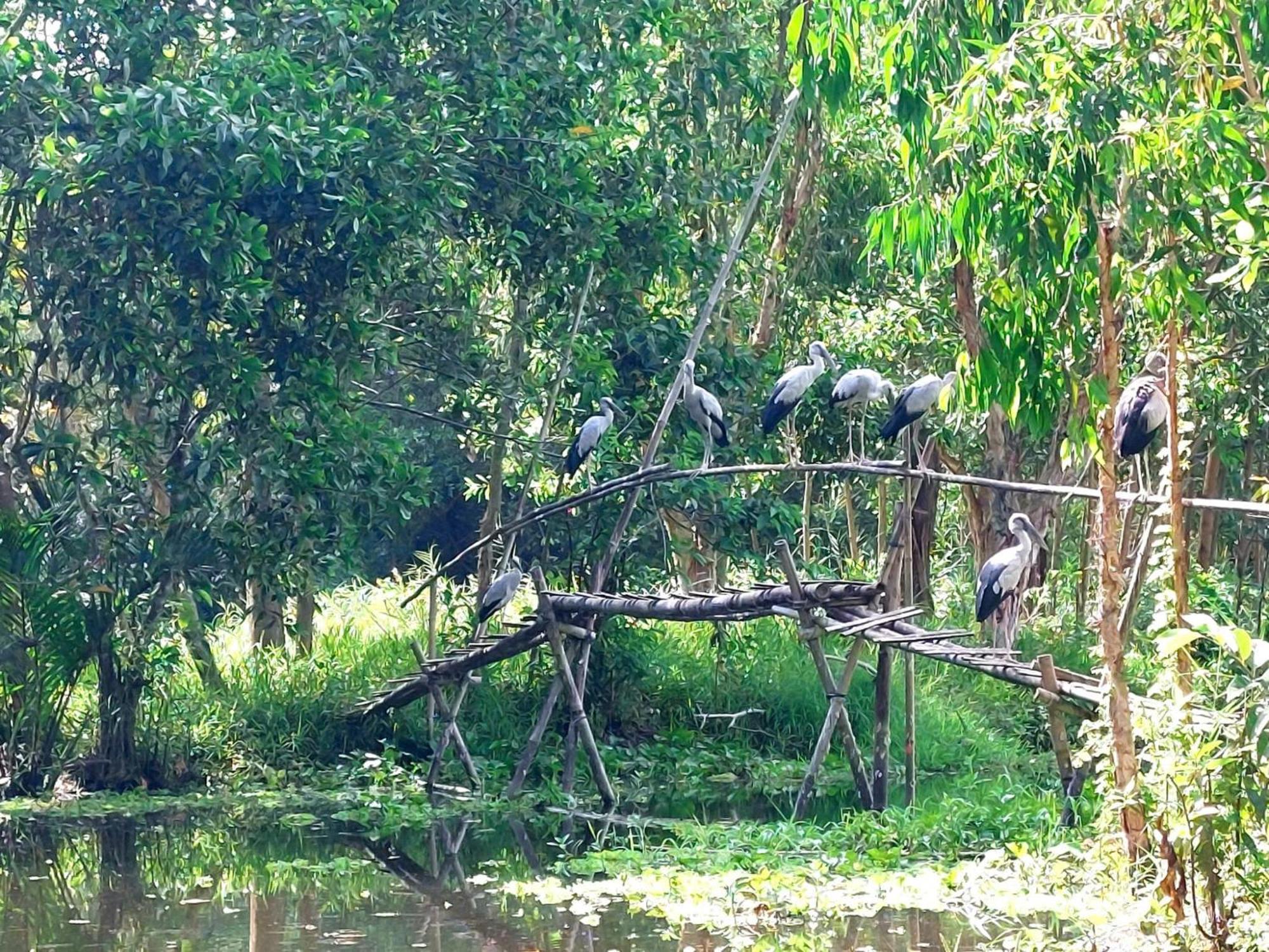 Tran Phu Riverside House Can Tho Esterno foto
